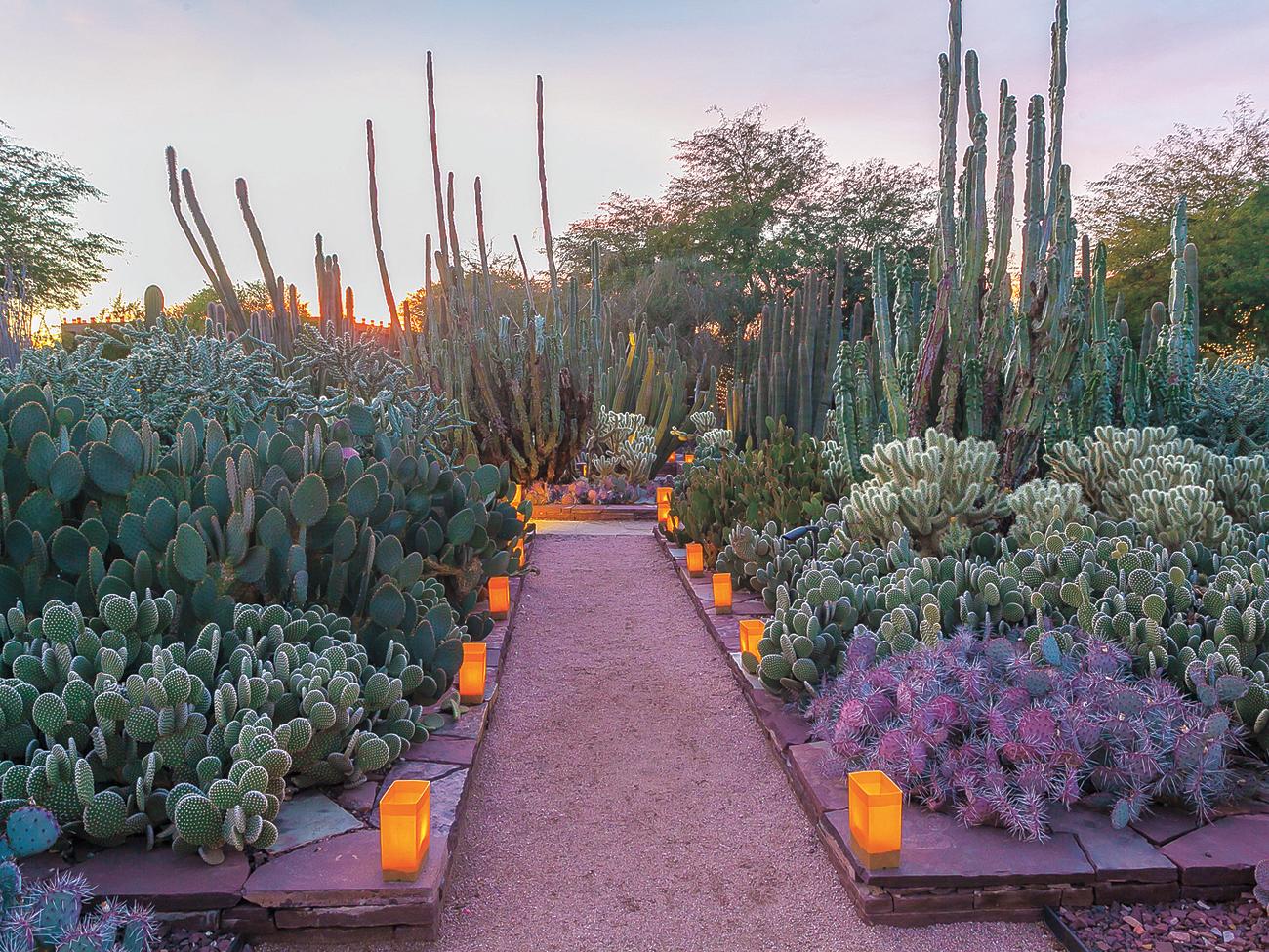 15 Essential Western Experiences for Garden-Lovers