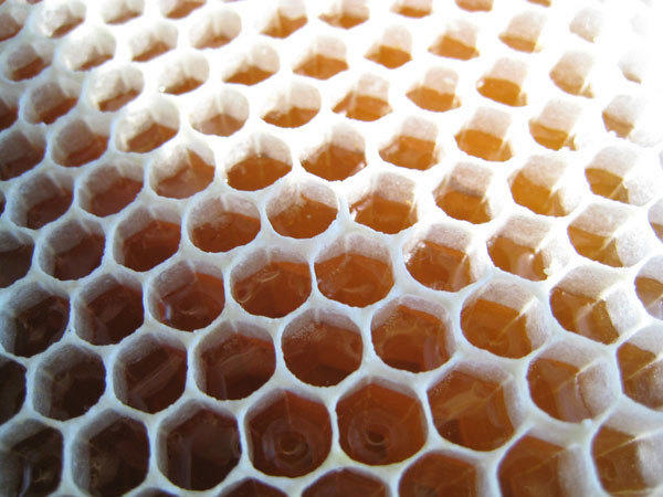 The beauty of uncapped honeycomb from our beehives