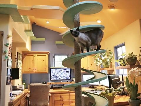 This home takes pet-friendly design to a whole new level