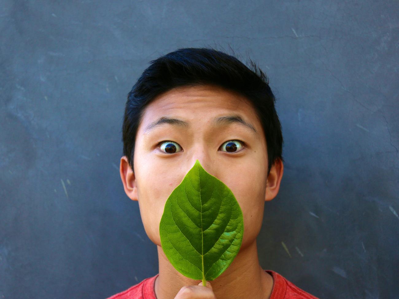 Confessions of a high school phytophile