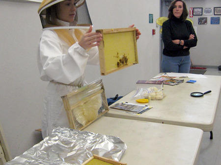 Honey bees make learning sweet for San Carlos first graders