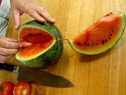 Melon harvest: time for a taste test