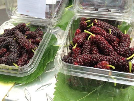 Farmers’ market find: mulberries