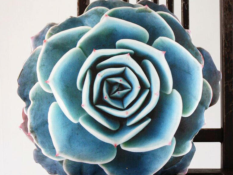 25 days of giveaways: Potted’s succulent pillow