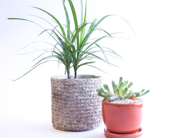 Easy DIY Paper Plant Pot Covers - With Old Maps - Pillar Box Blue