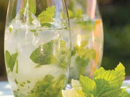 Mojito Recipe – Sunset Magazine