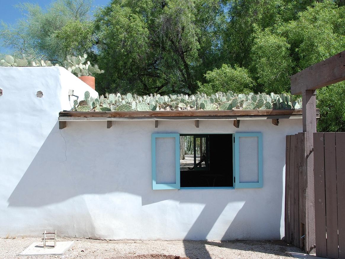 A Roof Made from Cactus Pads