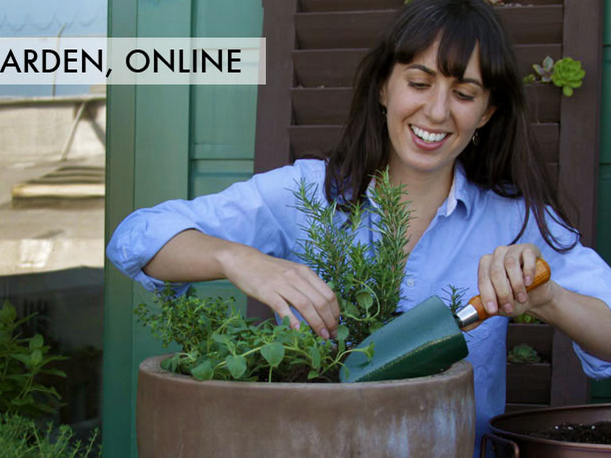 Discount: Save 10% on Edible Container Gardening Class