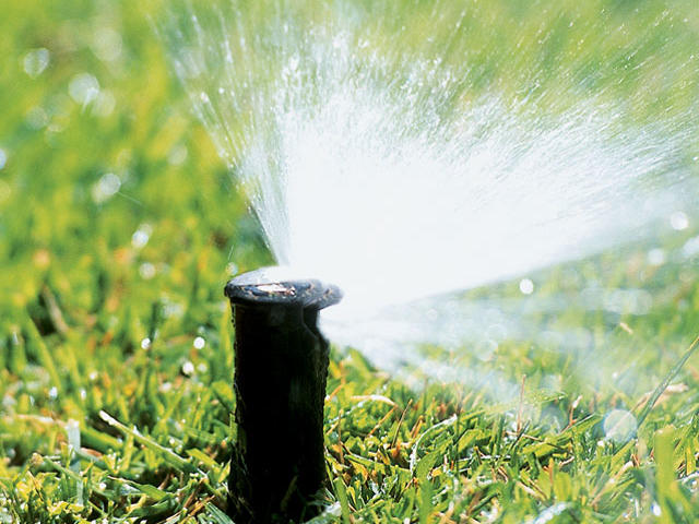 11 Ways to Cut Back on Water Consumption in Your Garden