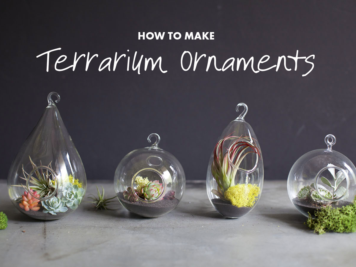 DIY: Terrarium Ornaments