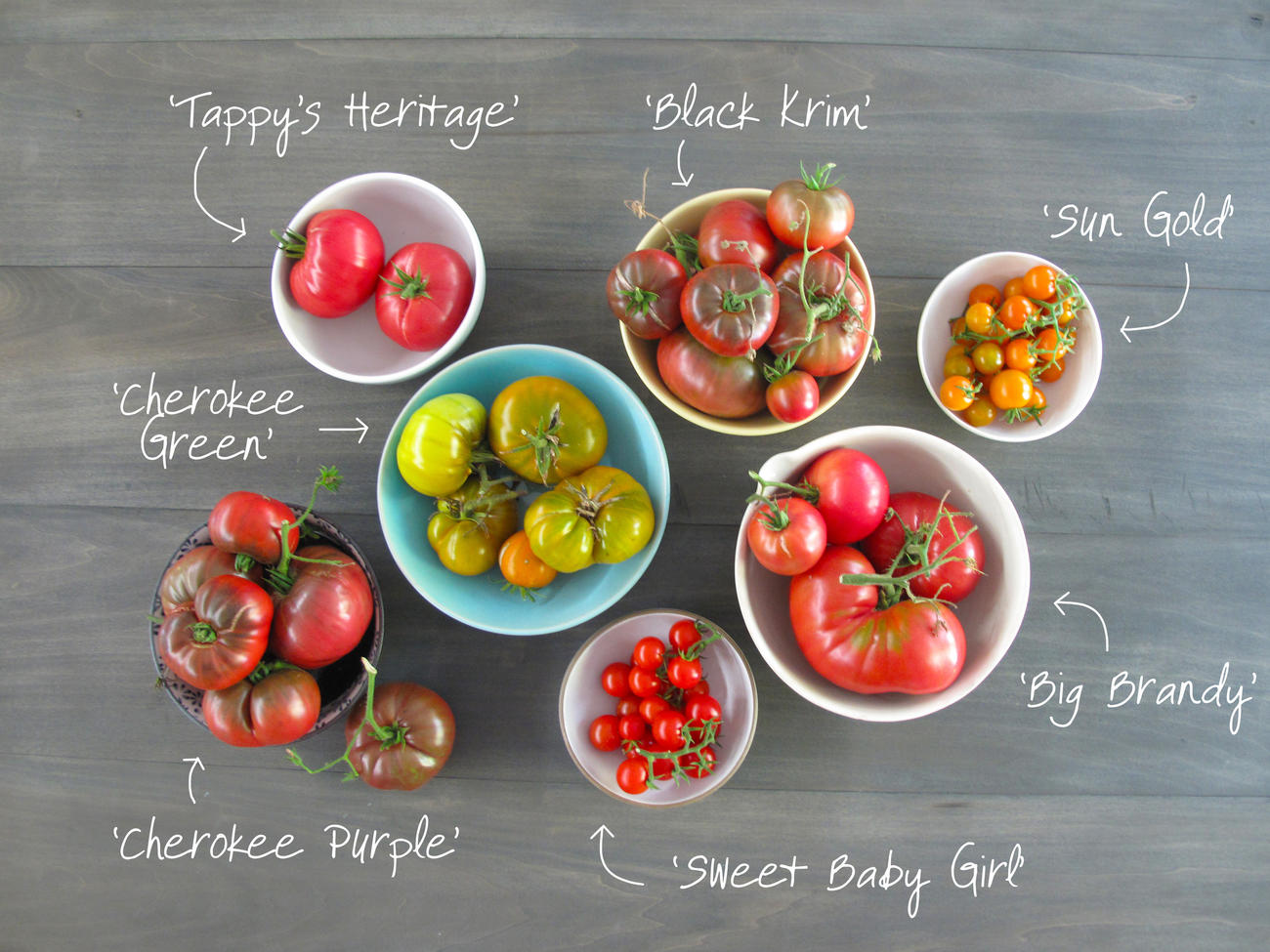 The Best Tomatoes from Sunset’s Test Garden