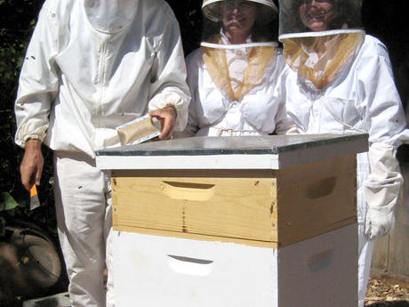 A beekeeper visit and a mite trap