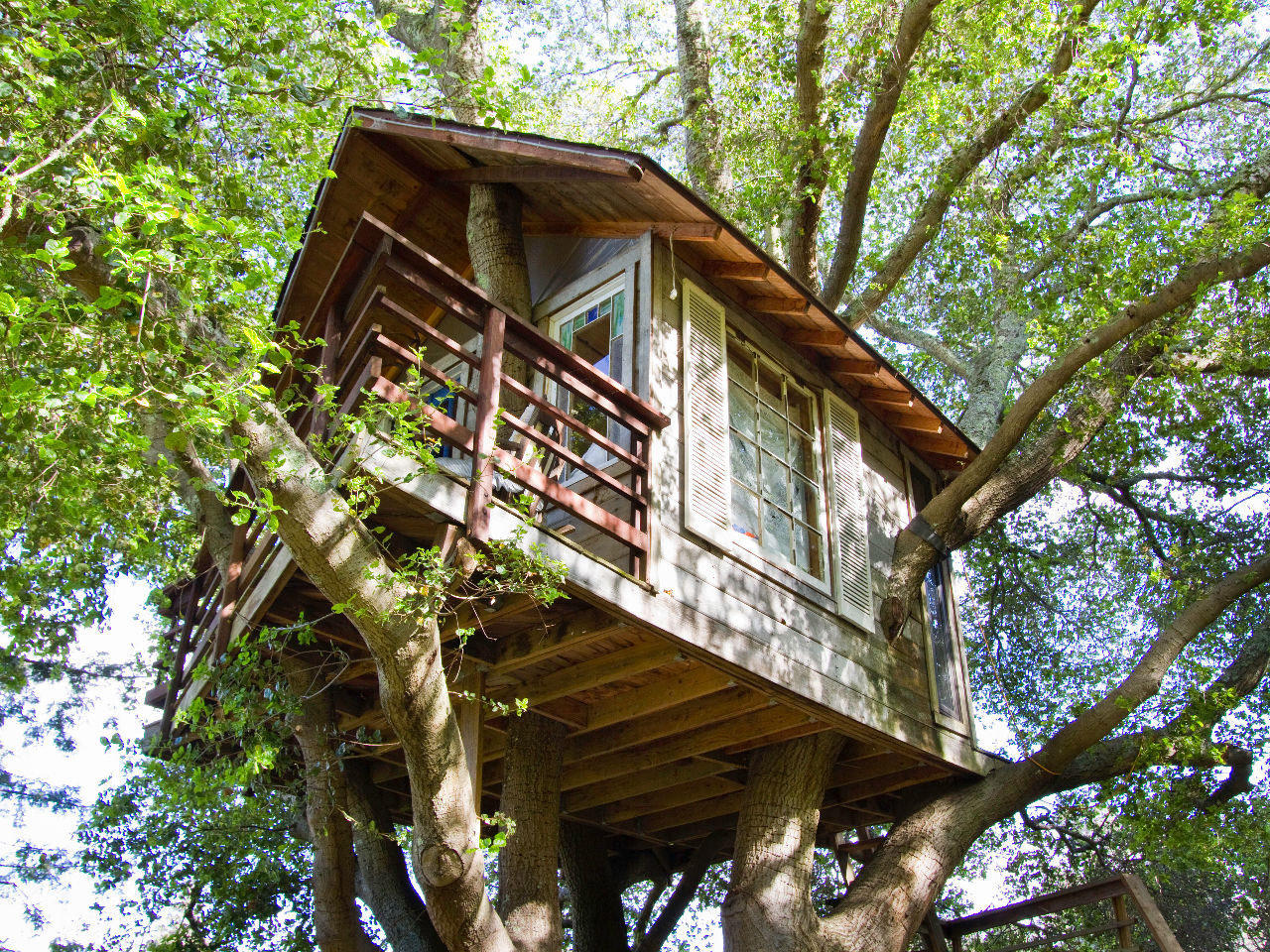 Airbnb this: cozy Bay Area treehouse