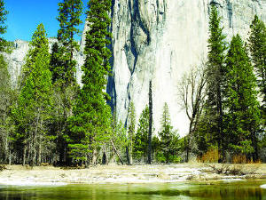 Child contracts plague from camping in Yosemite National Park
