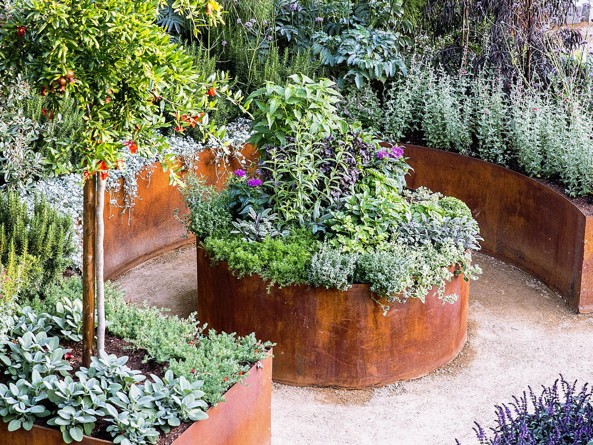 5 Raised Bed Gardening Tips You Should Know Before You Start