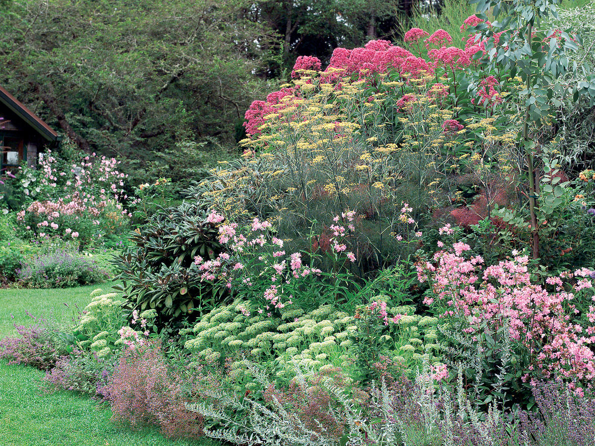 Great Foliage Border Plants Sunset Magazine