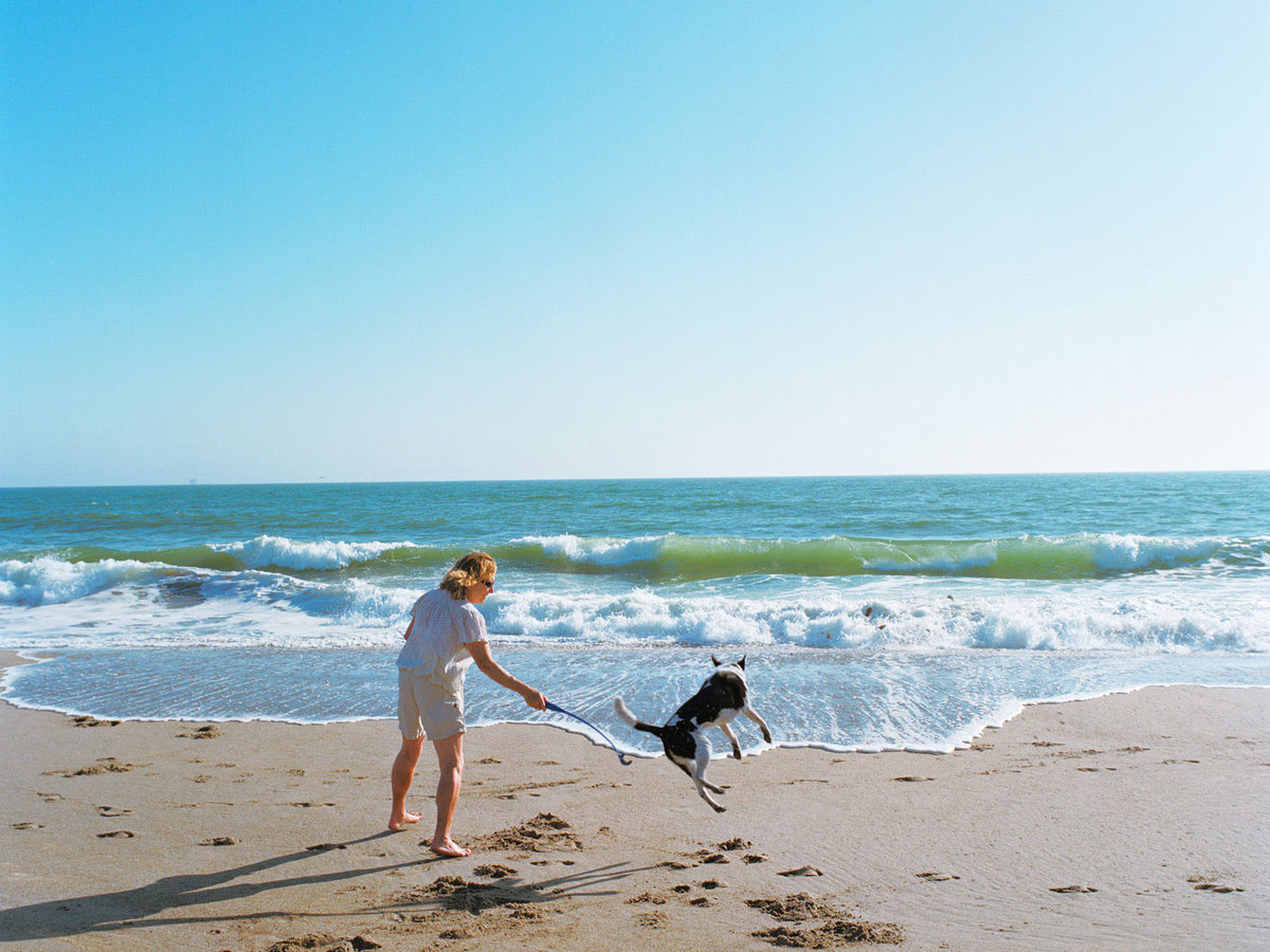 Oxnard Ca Beach Weddings Oxnard Ca Beach Weddings