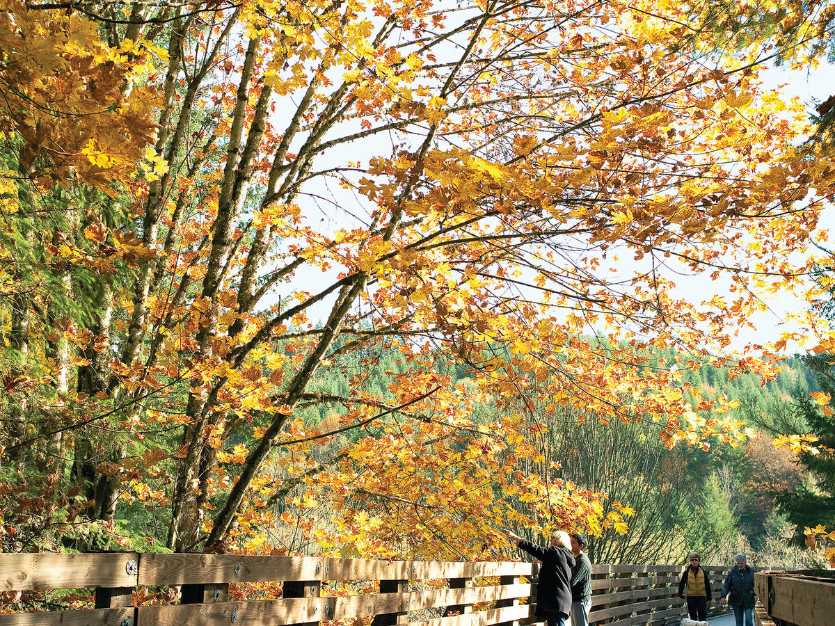 Vernonia Oregon’s Autumn Escape Sunset Magazine