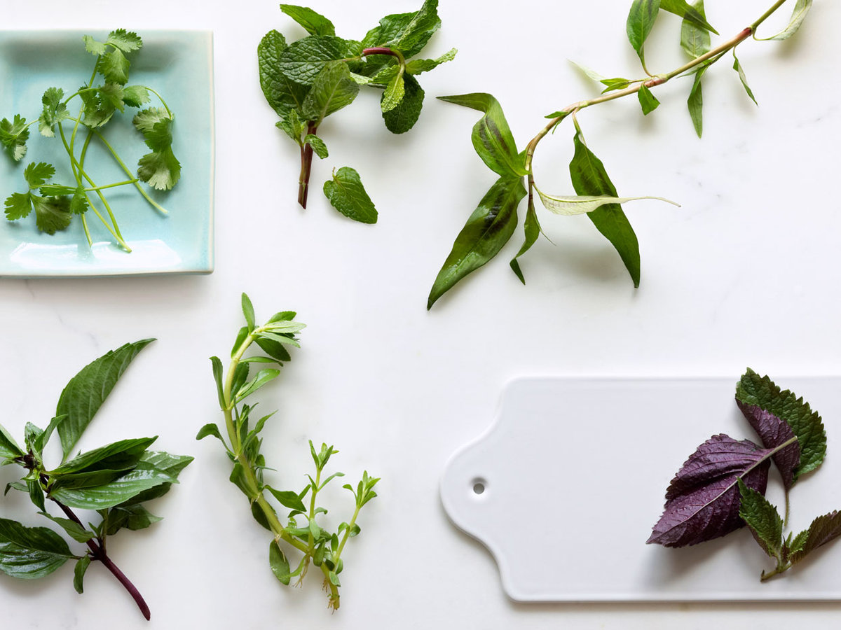 How to Grow & Cook with Rau Ram (Vietnamese Coriander) Sunset Magazine