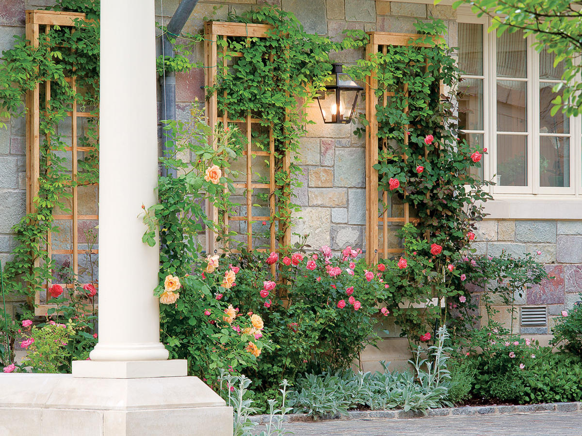 Create a Leafy Eye-Catcher for a Garden Wall - Sunset Magazine