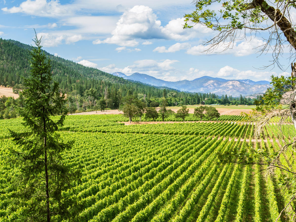 Local's Guide to Southern Oregon Wine Country - Sunset ...