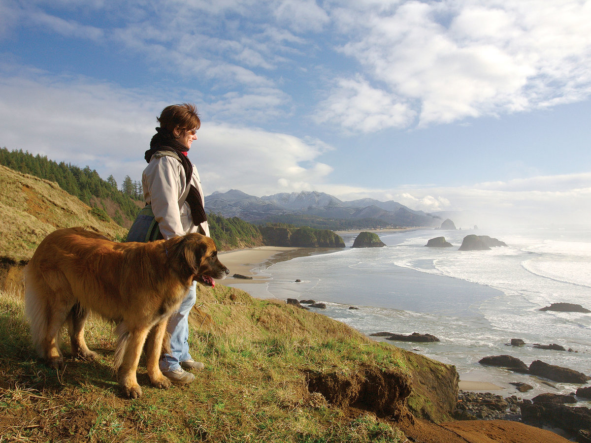 Vacations You Can Take Your Dog Vacations You Can Take Your Dog