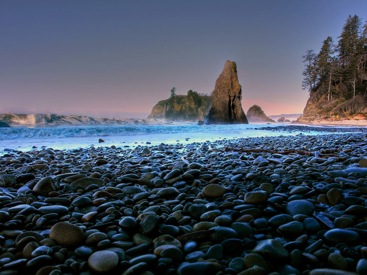 Swimming Olympic National Park Beaches