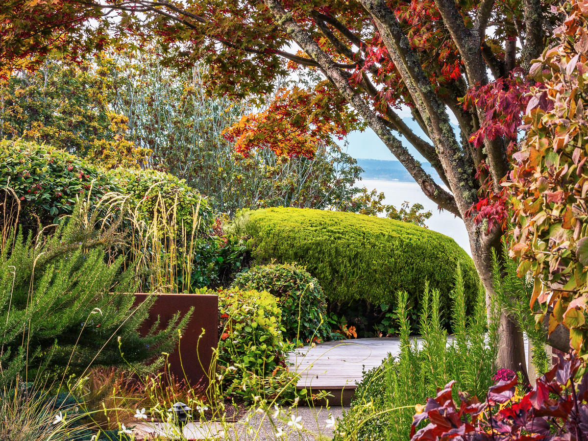 3 Ways to Maximize Fall Color in Your Garden - Sunset Magazine