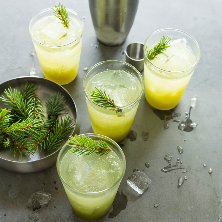 su-The Lighted Tree Image