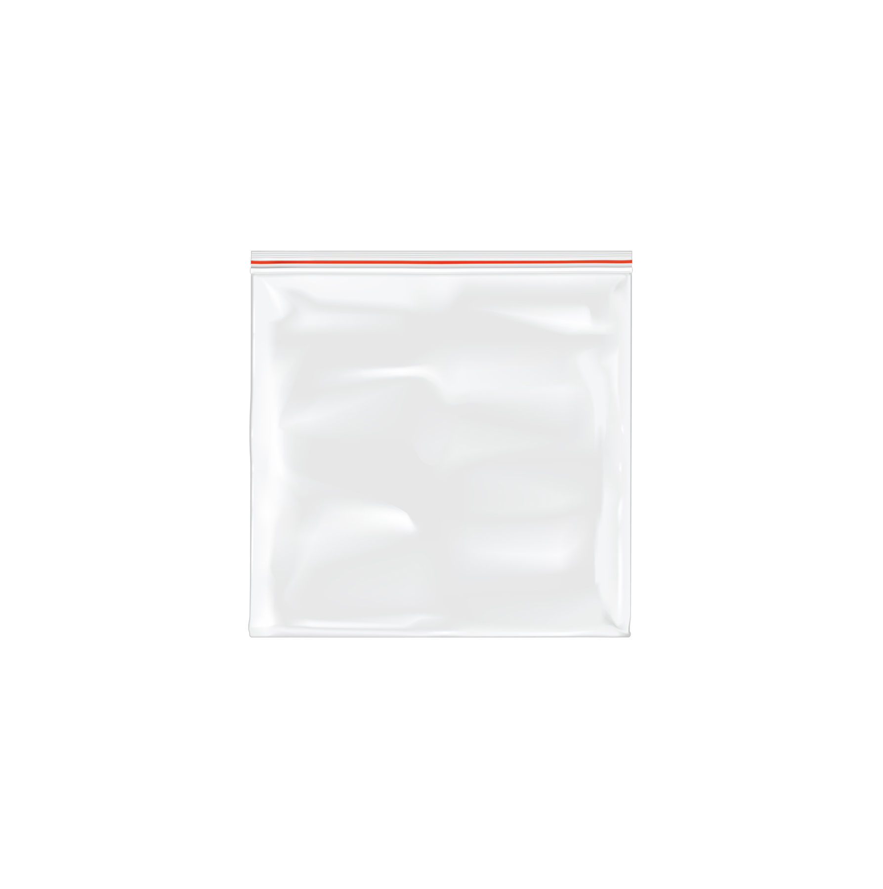 large-ziploc-bag