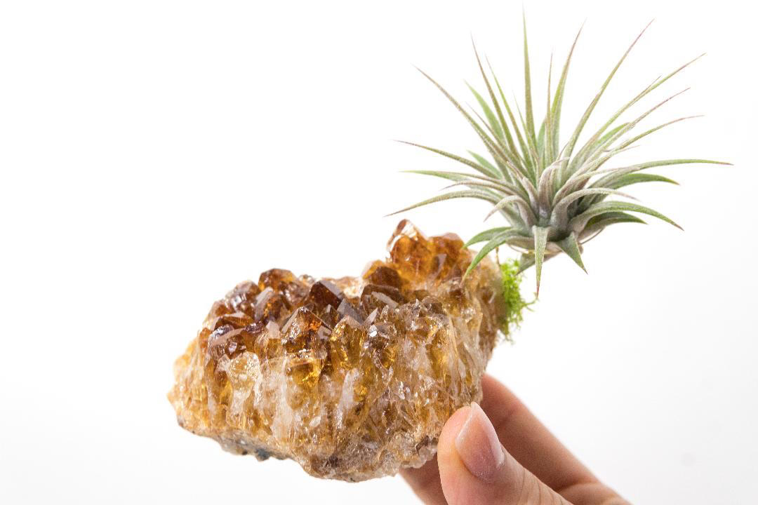 citrine-for-manifesting-and-empowerment