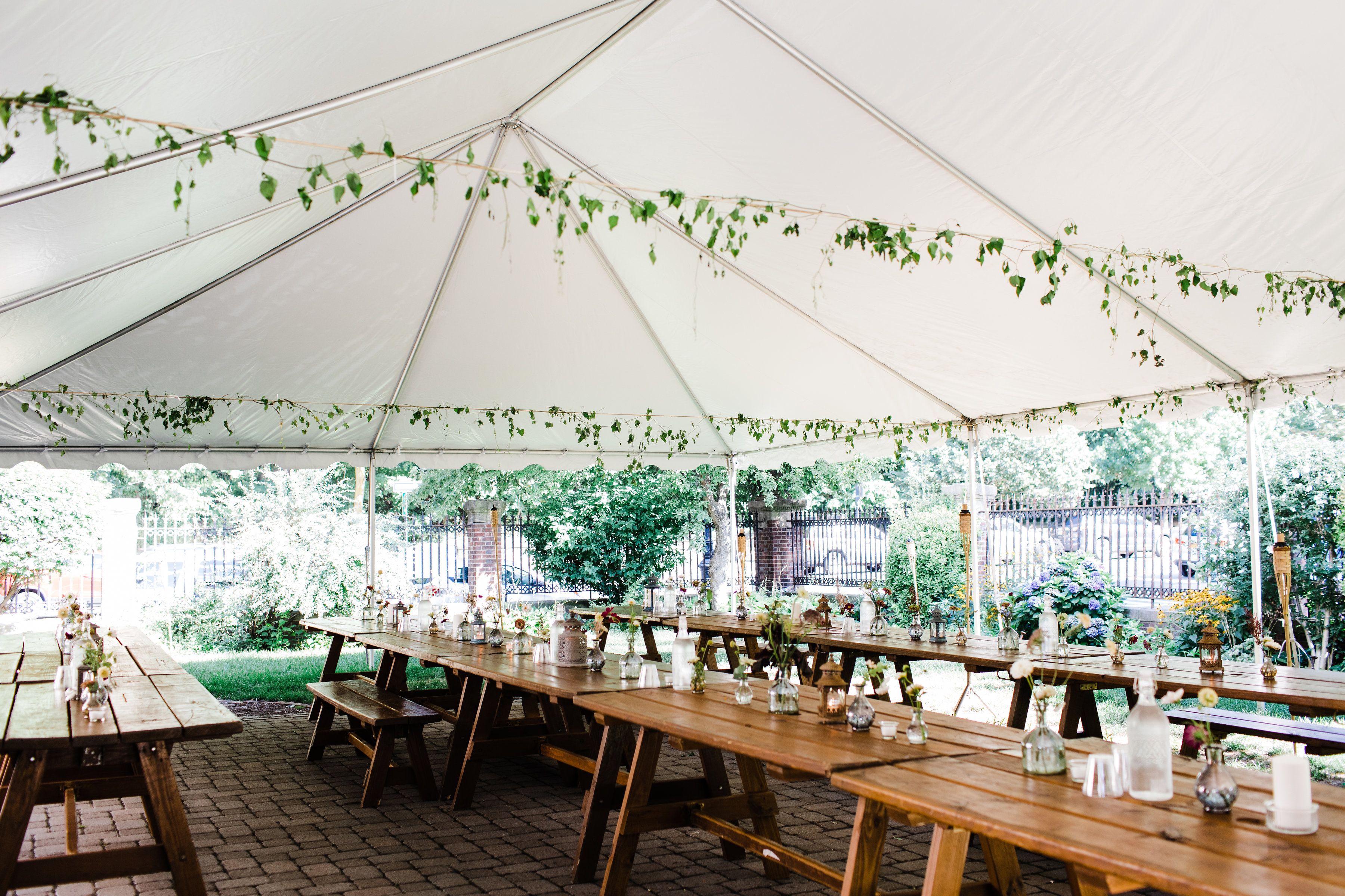 have-fun-with-foliage