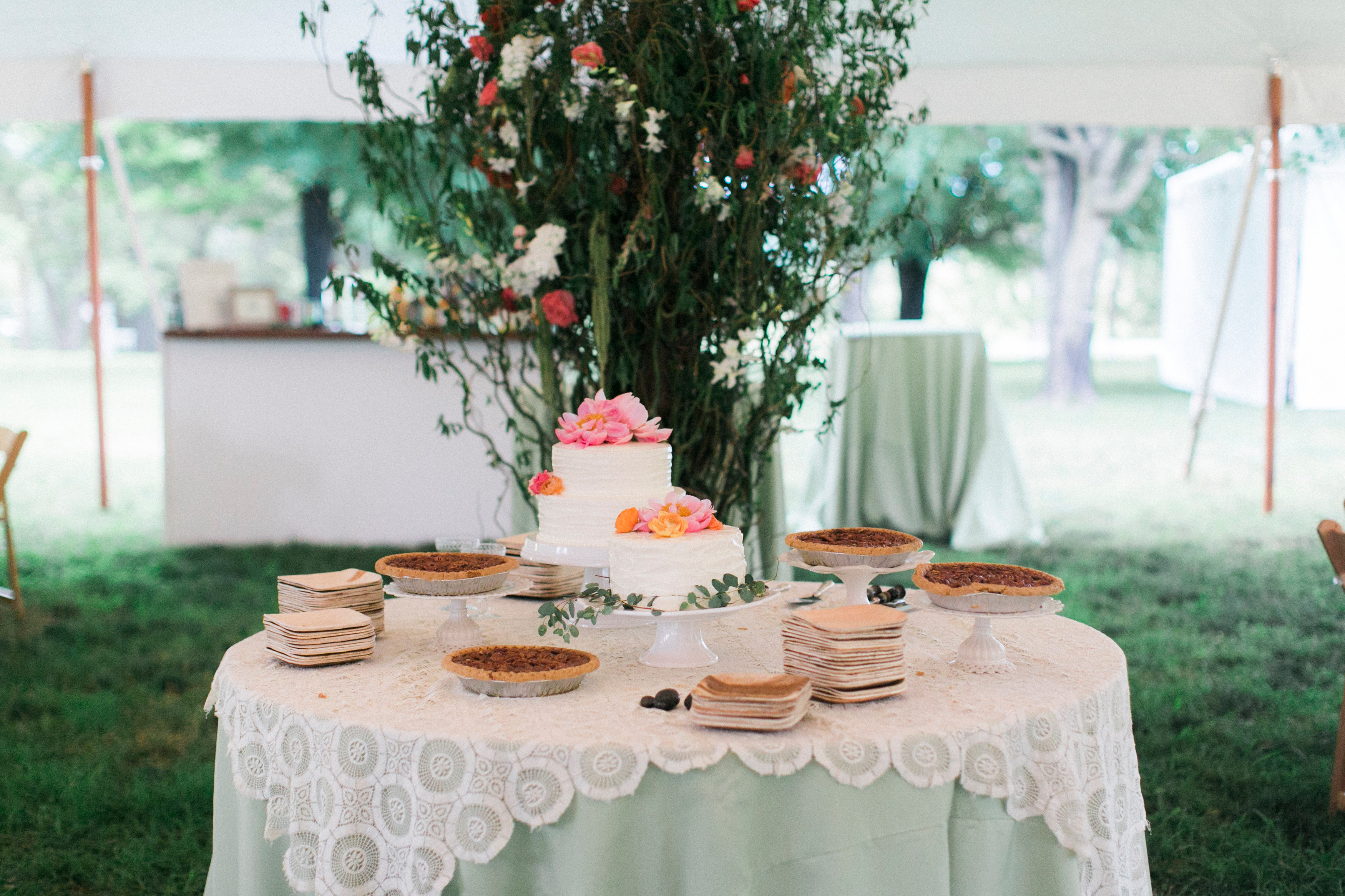 think-outside-of-the-cake-box