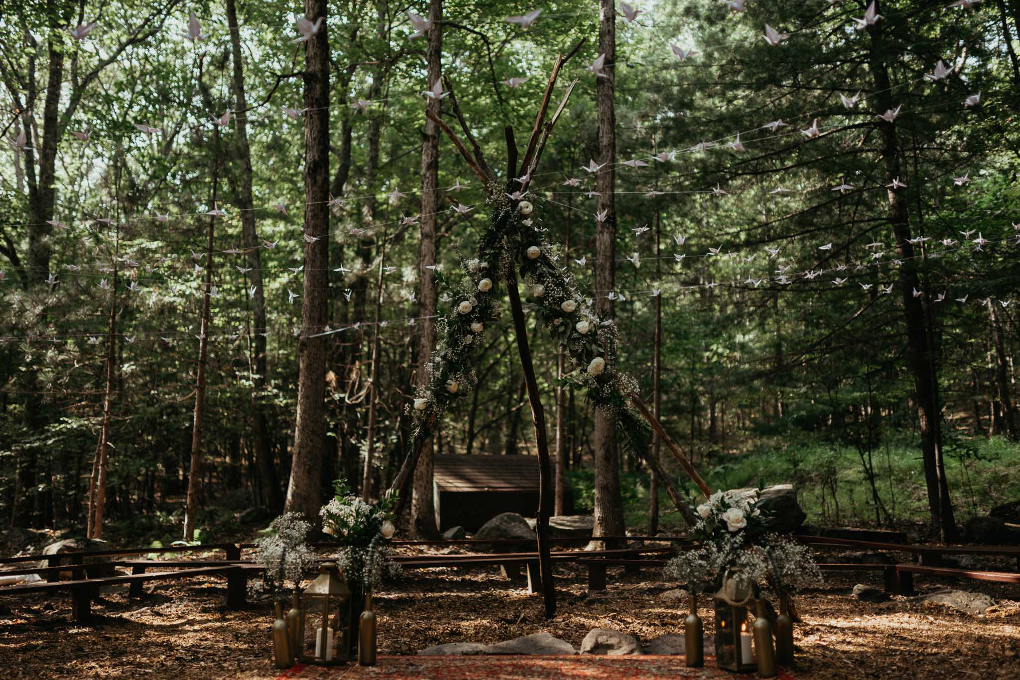 create-a-forest-friendly-backdrop