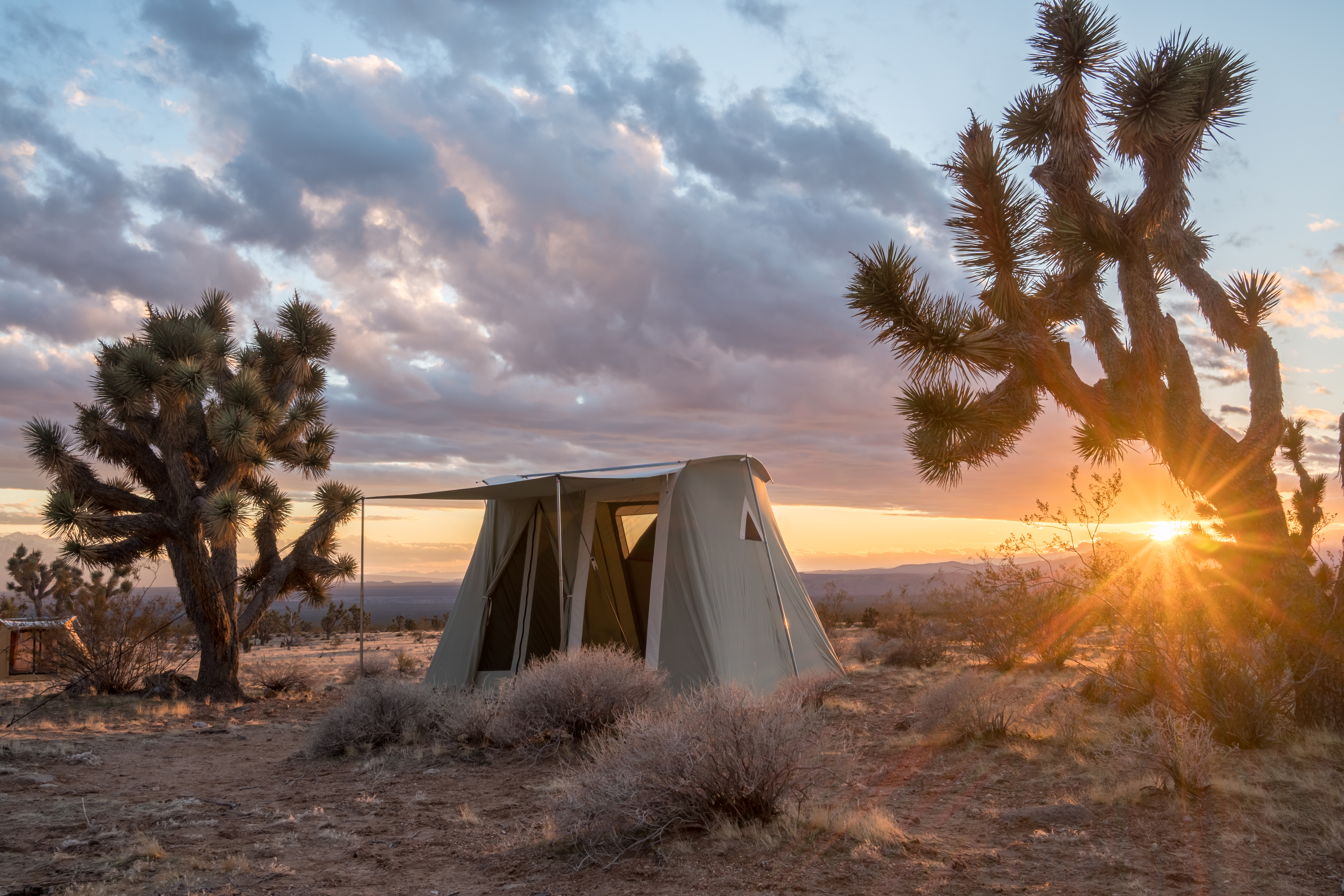 springbar-highline-6