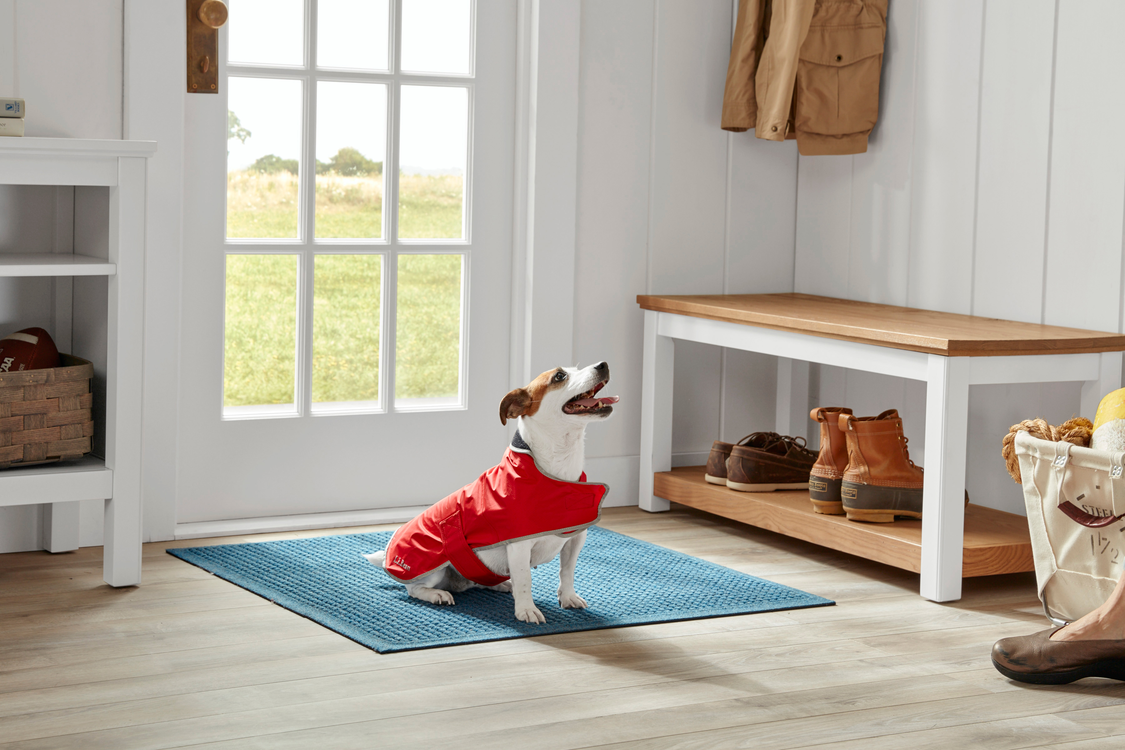 l-l-bean-dog-rain-jacket