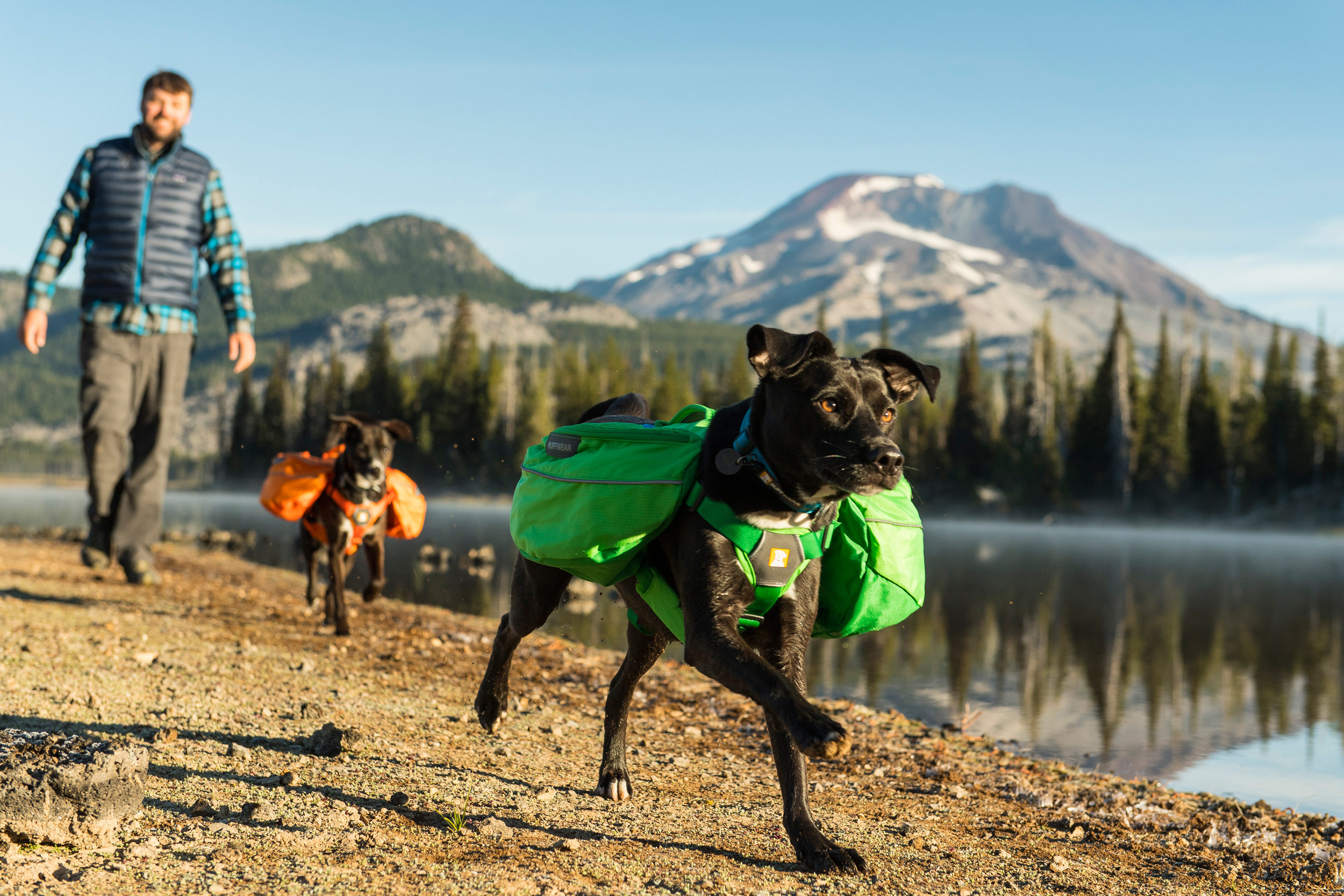 ruffwear-approach-dog-pack