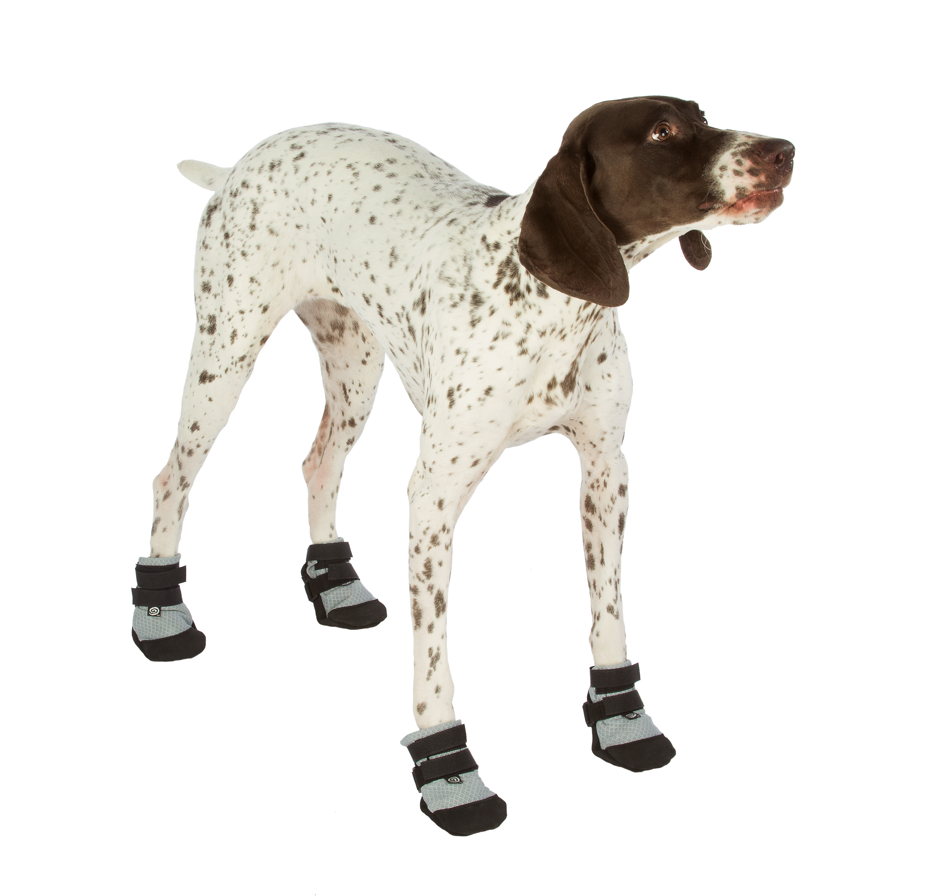 ultra-paws-ultra-cool-dog-boots