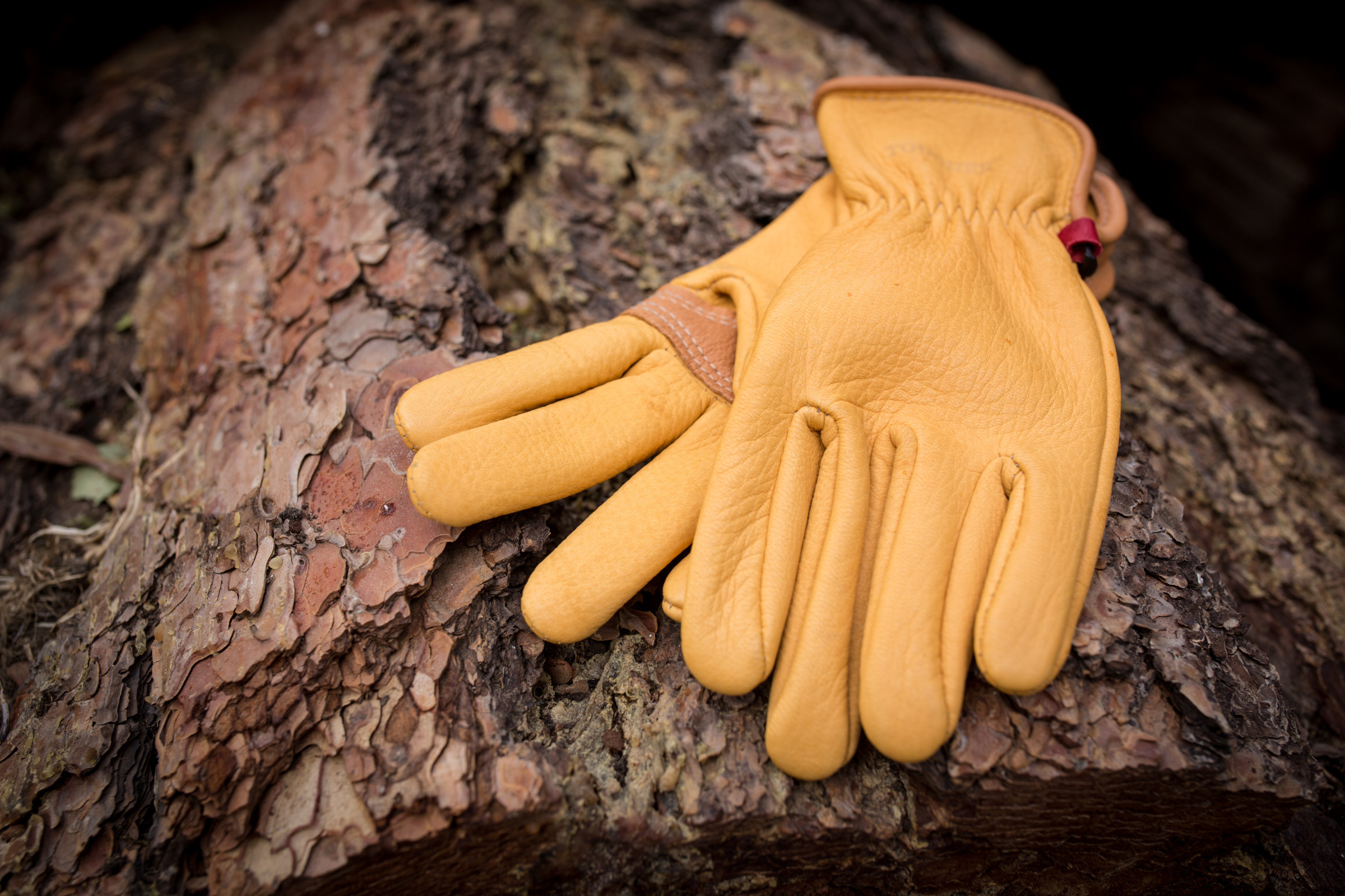 playing-the-long-game