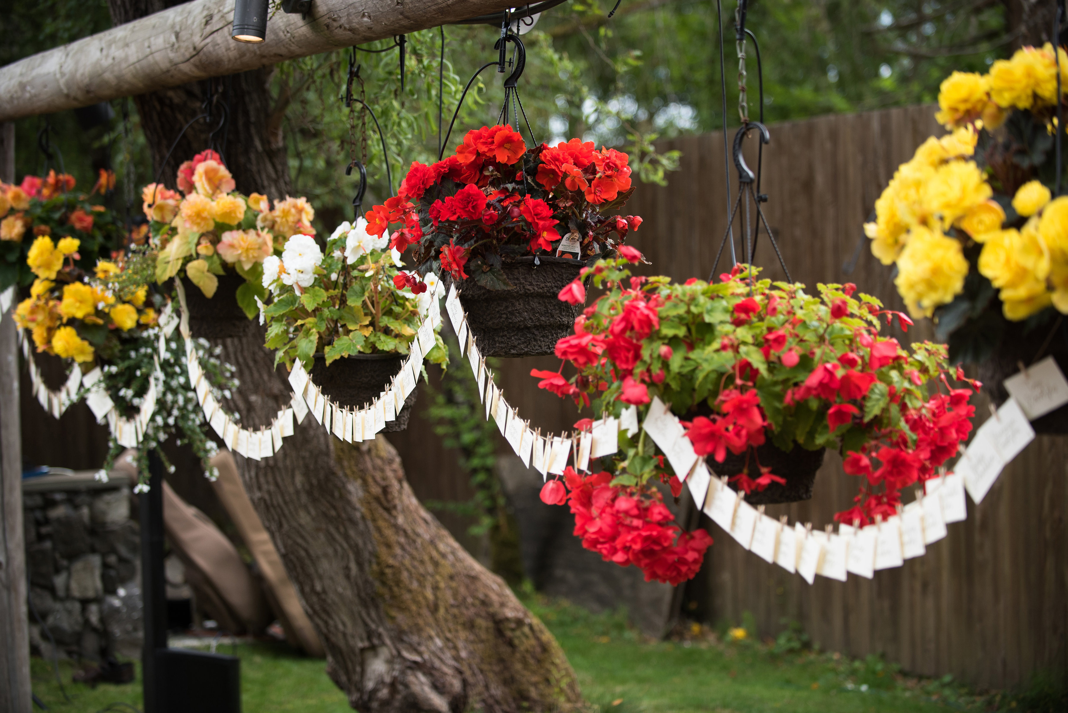 hanging-garden