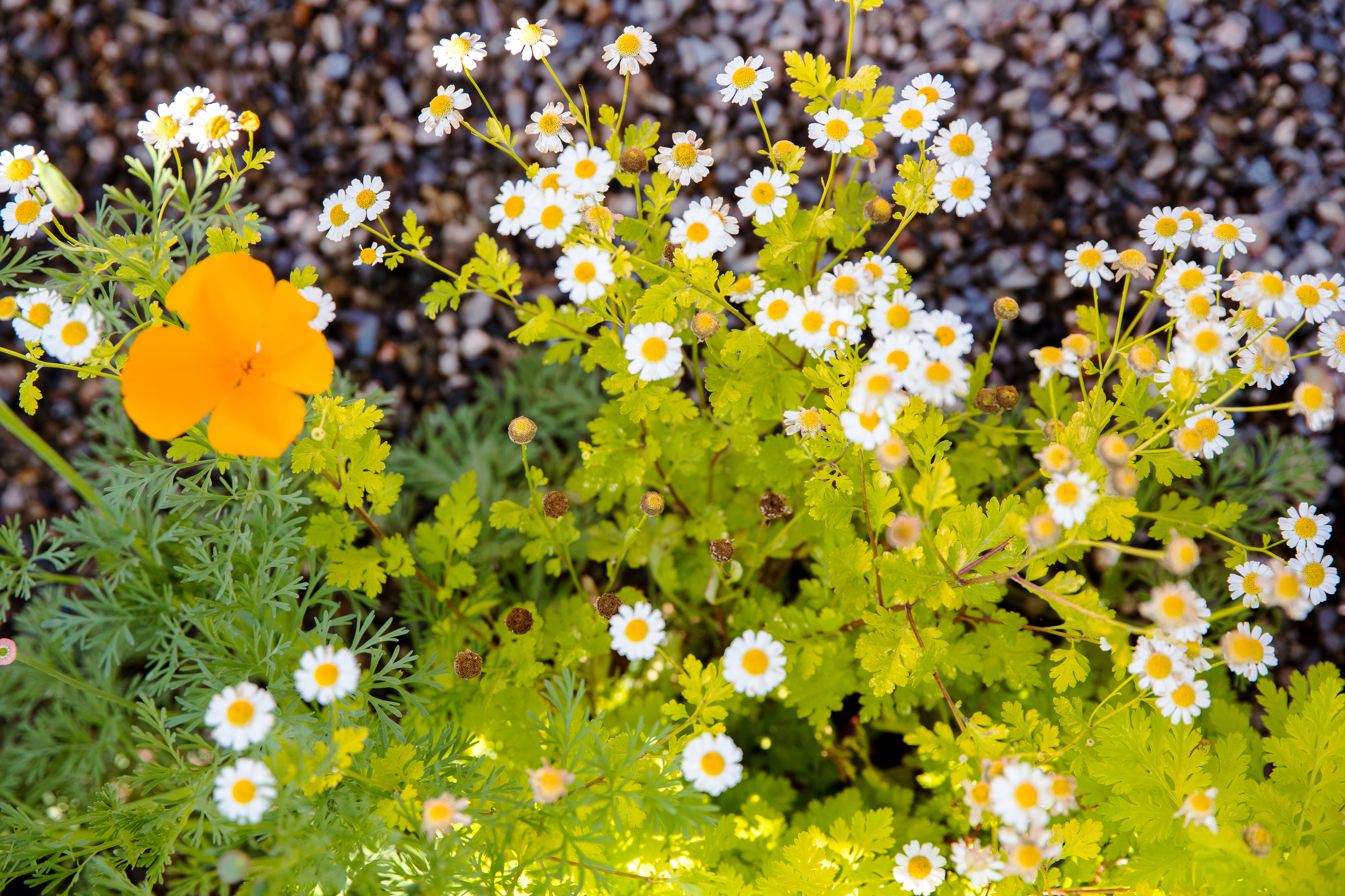 keep-your-star-performers