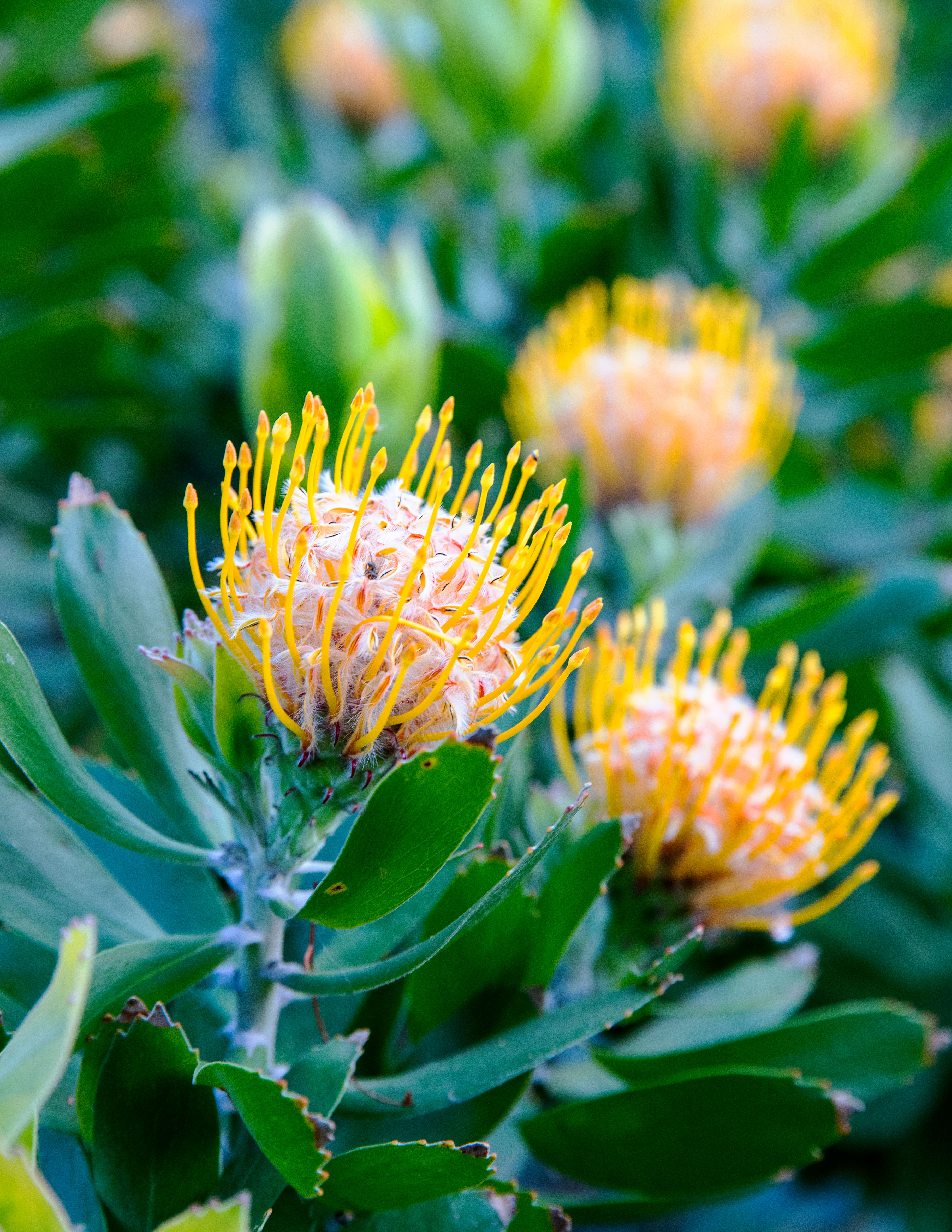 add-seasonal-touches