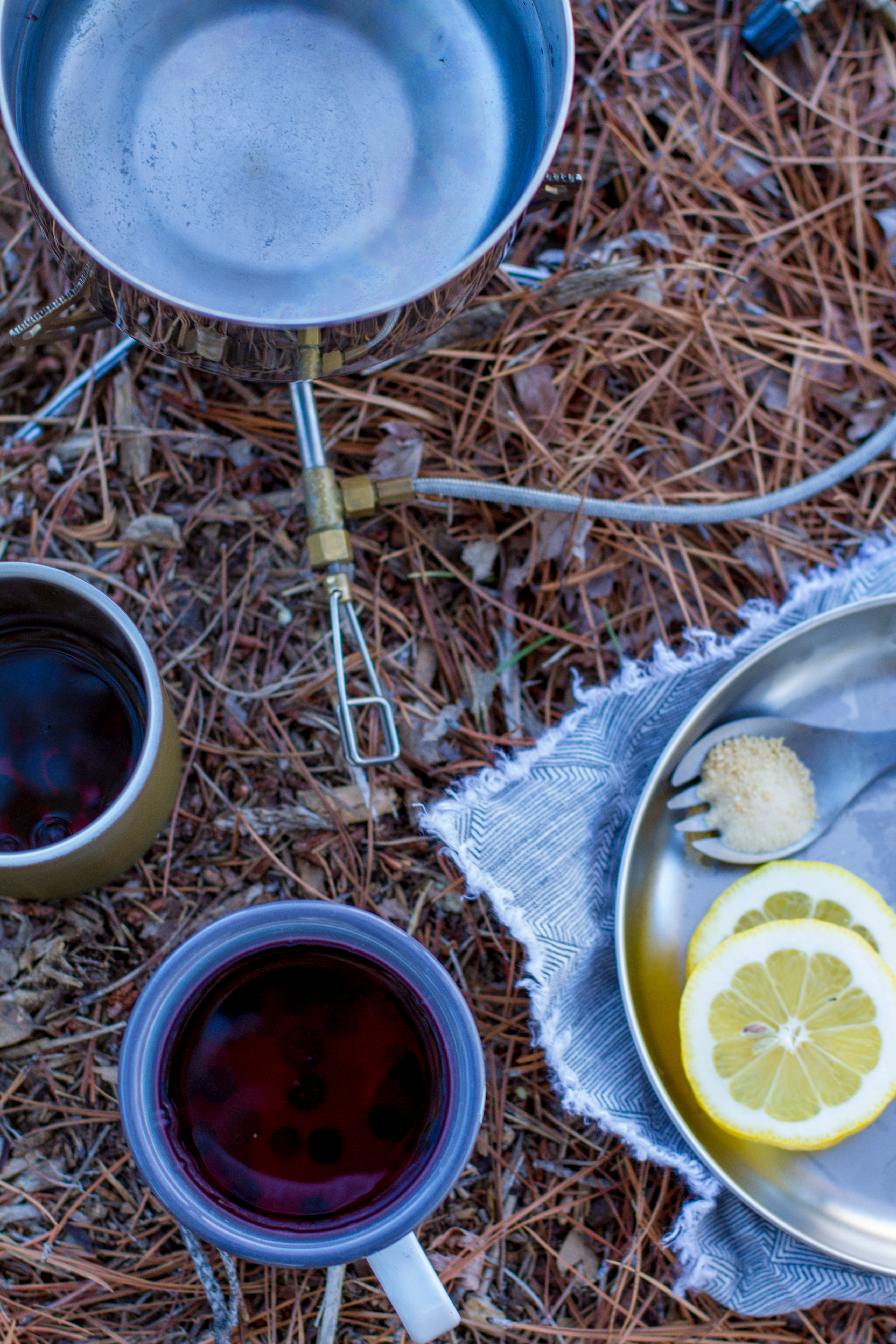 blueberry-hot-toddy