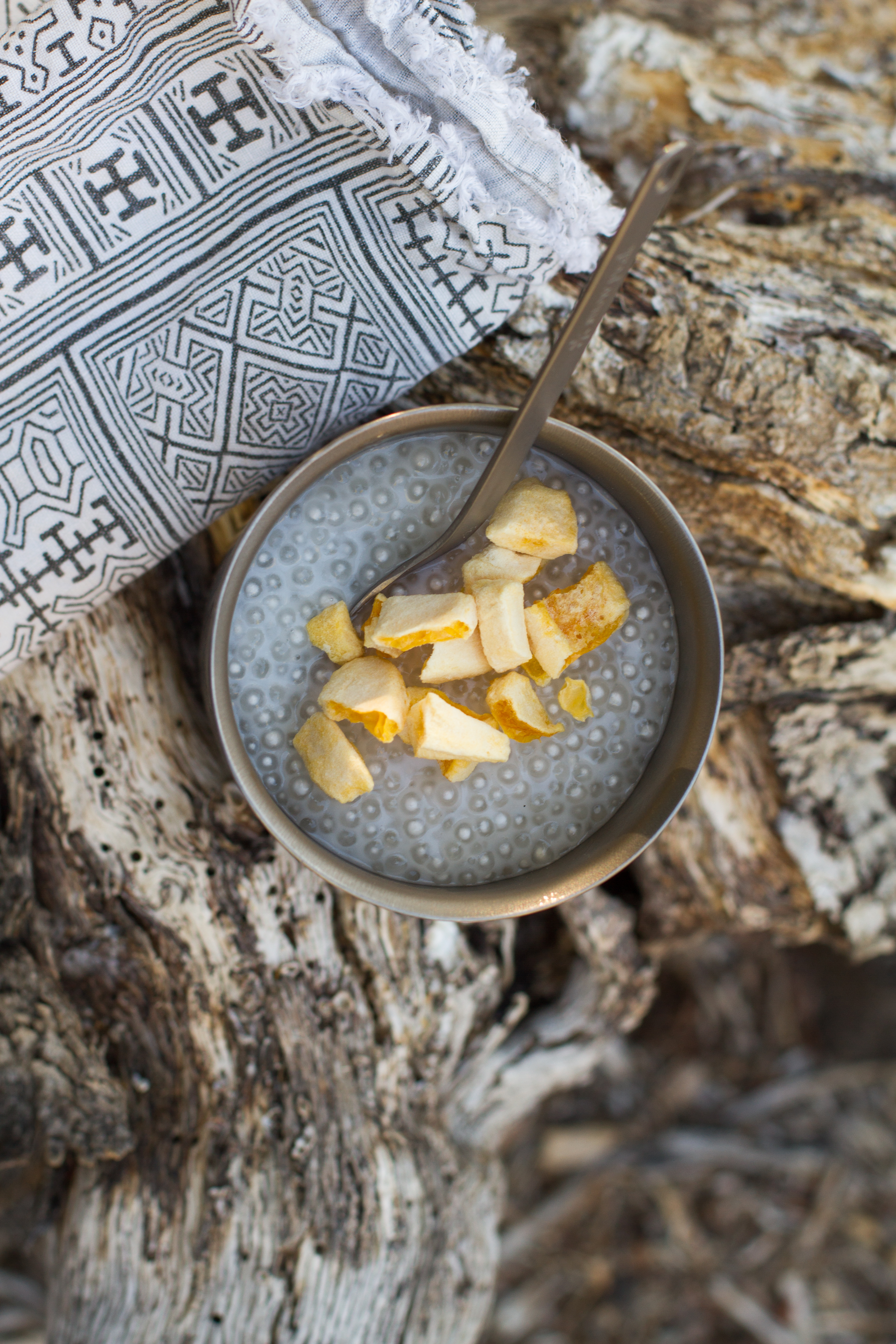 coconut-tapioca-pudding