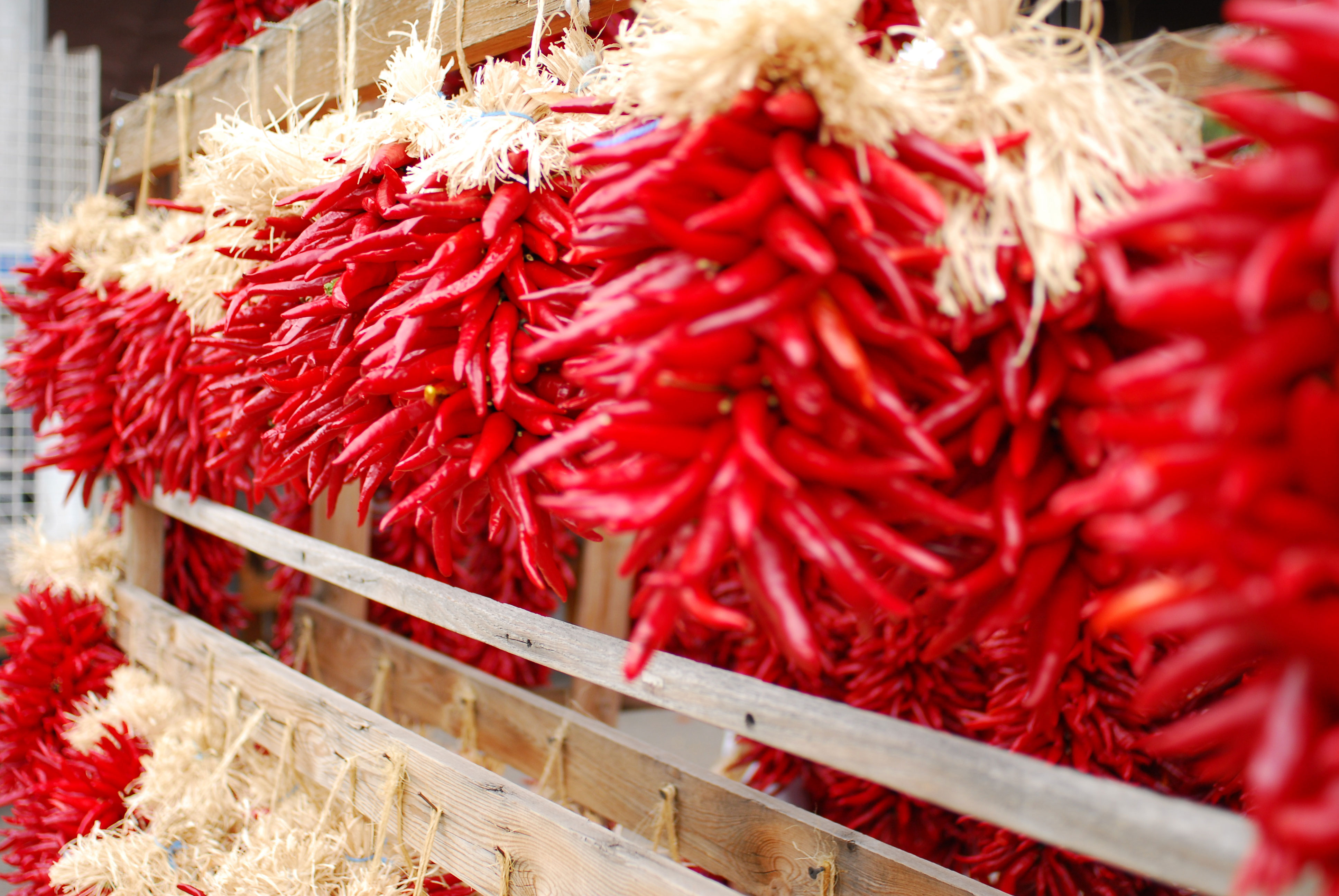 pedal-for-chiles-in-new-mexico