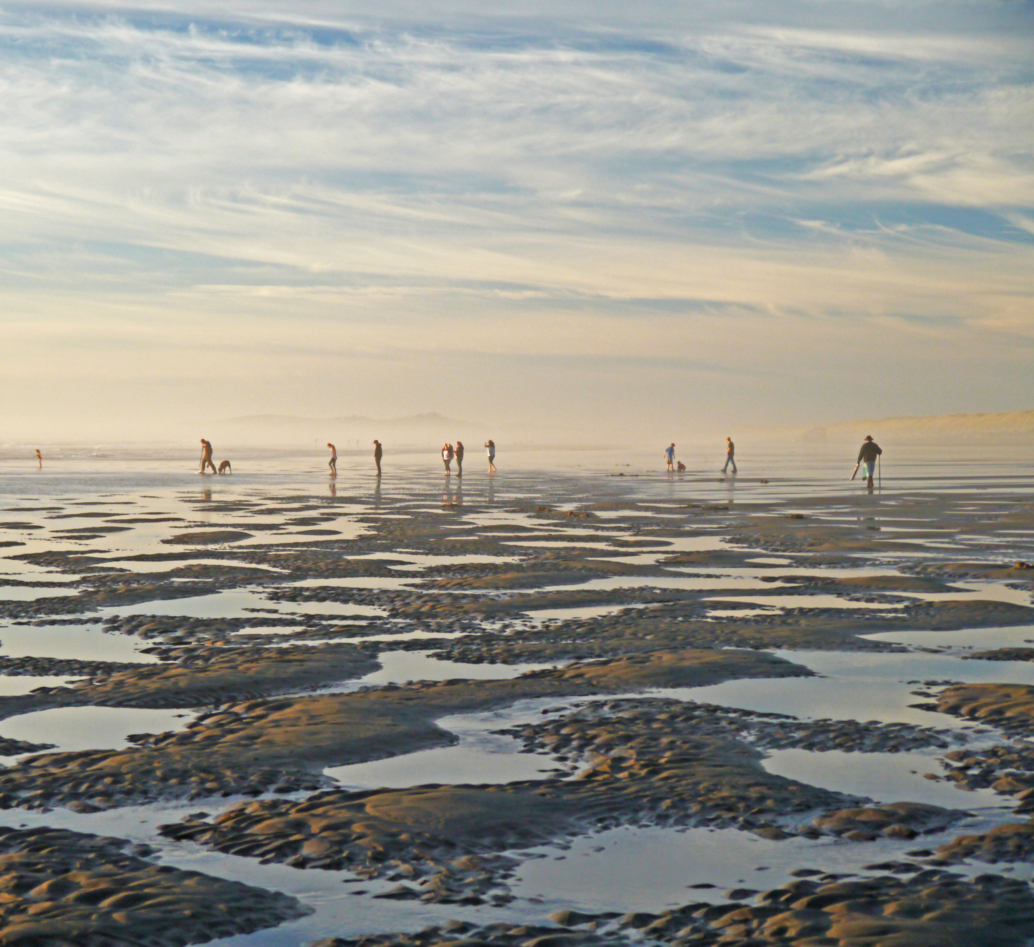 forage-in-the-pacific-northwest