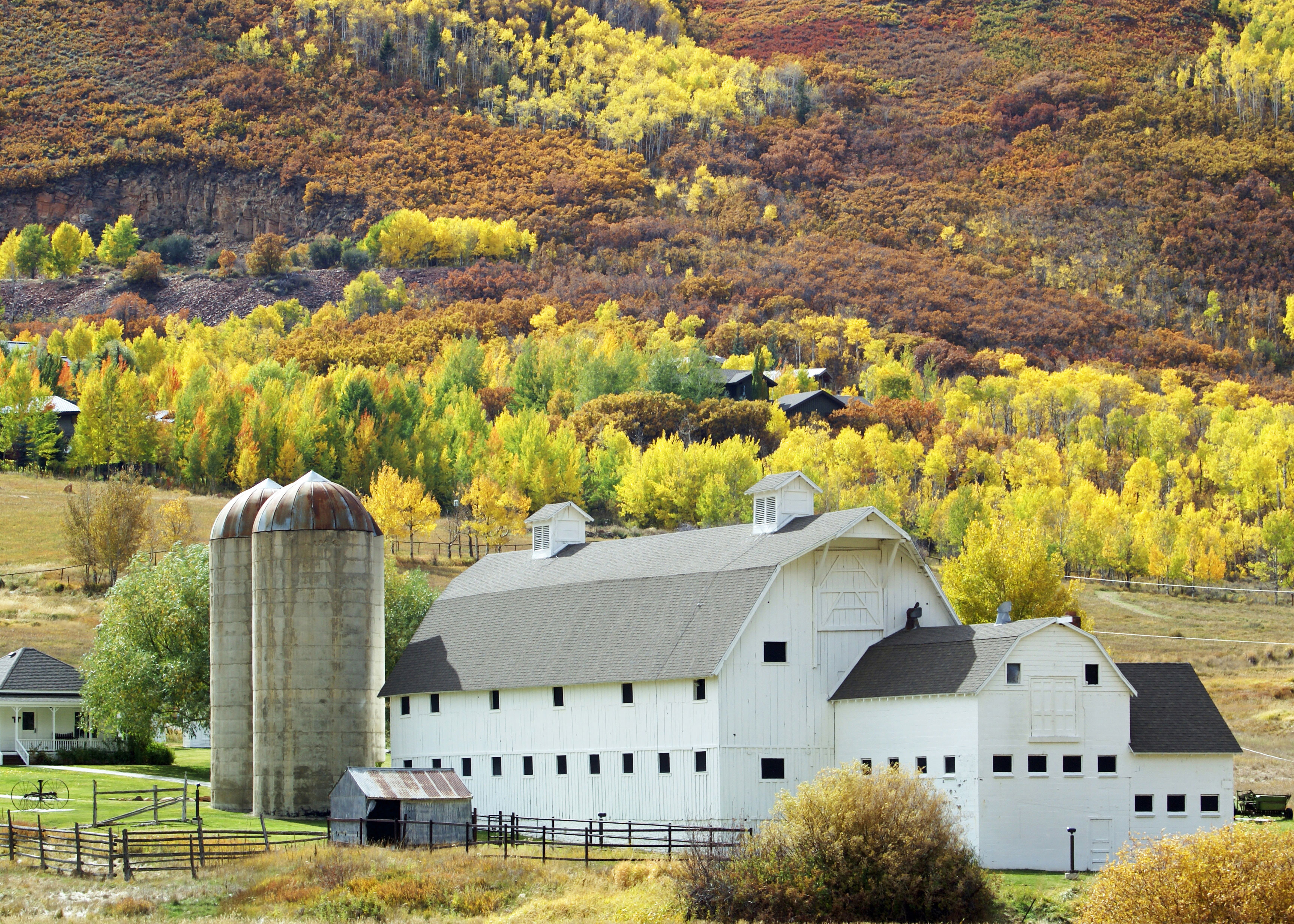 ride-and-dine-in-park-city-ut