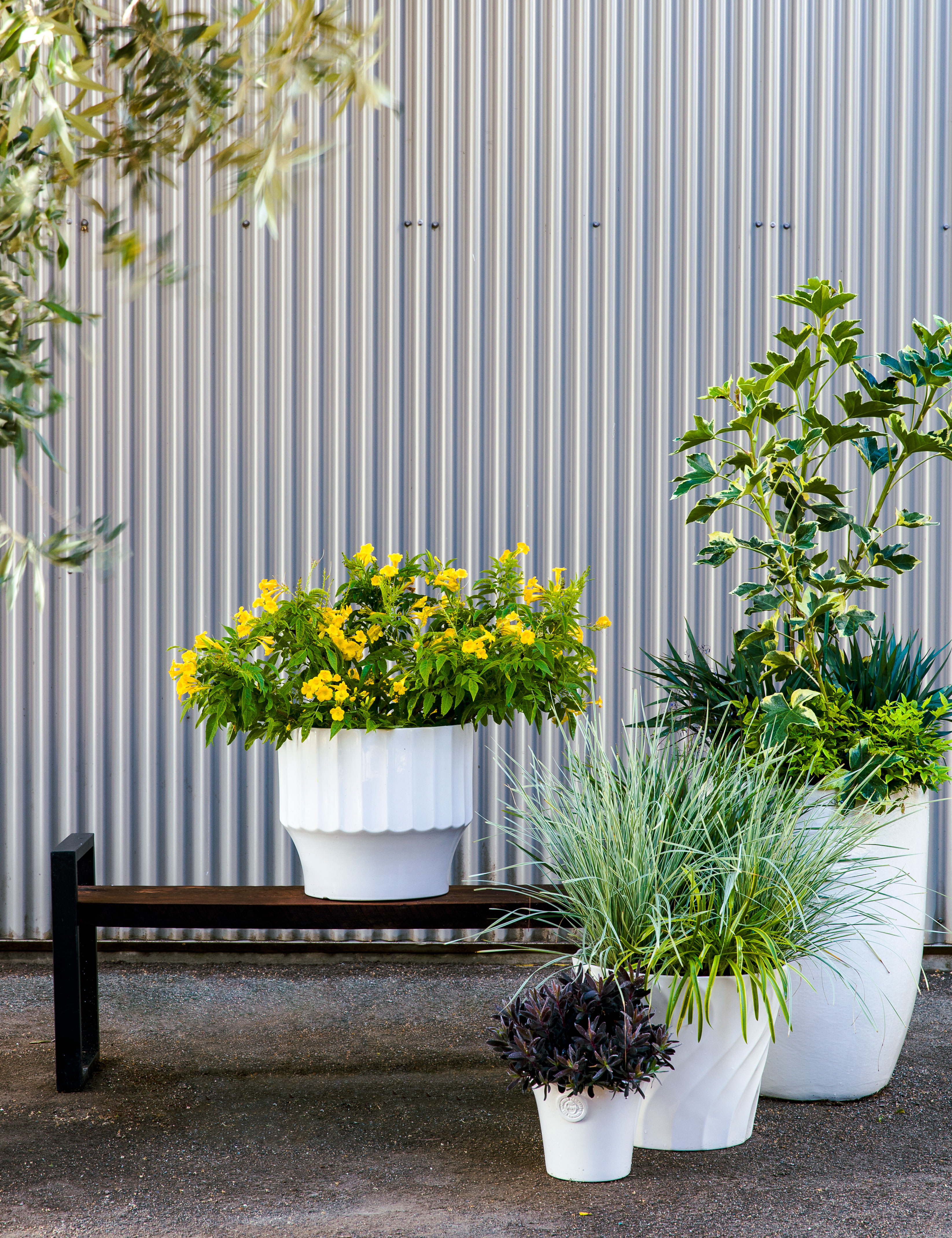 socal-and-southwest-pick-me-up