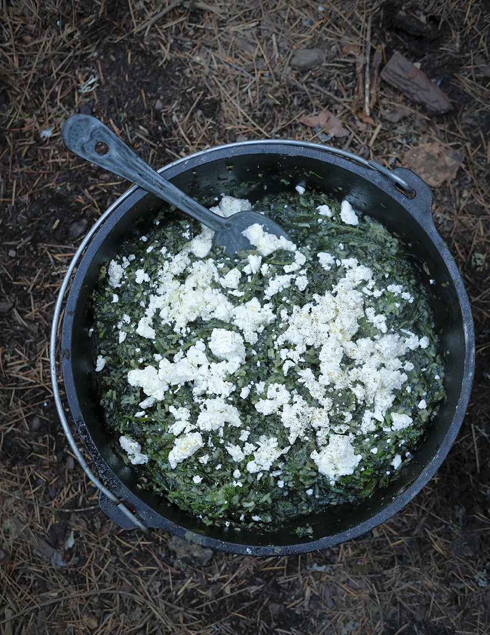 greek-spinach-rice-spanakorizo