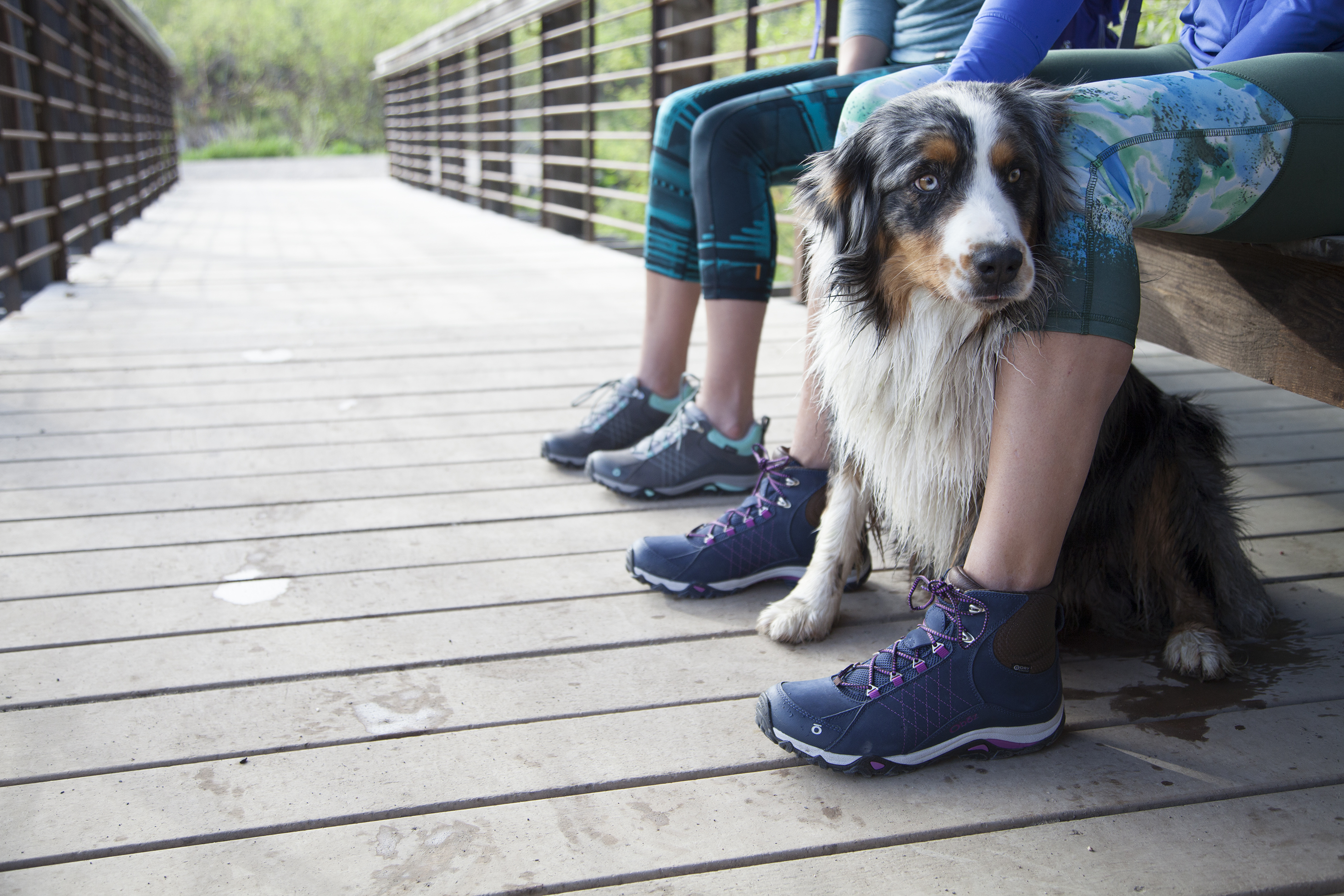 oboz-sapphire-mid-waterproof